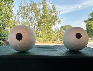 1 Torben, Henry, Karl, Niko: Müllroboter 3000